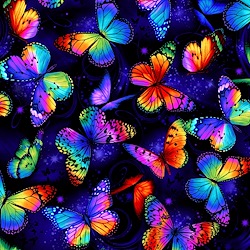 Multi - Butterfly Garden